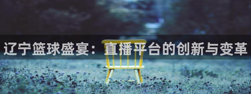 辽宁篮球盛宴：直播平台的创新与变革