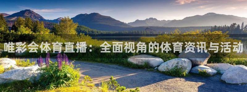 唯彩会体育直播：全面视角的体育资讯与活动