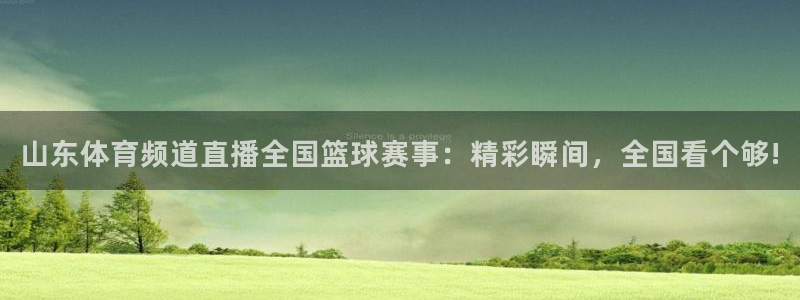 山东体育频道直播全国篮球赛事：精彩瞬间，全国看个够!