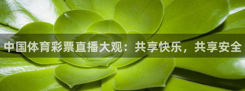 中国体育彩票直播大观：共享快乐，共享安全