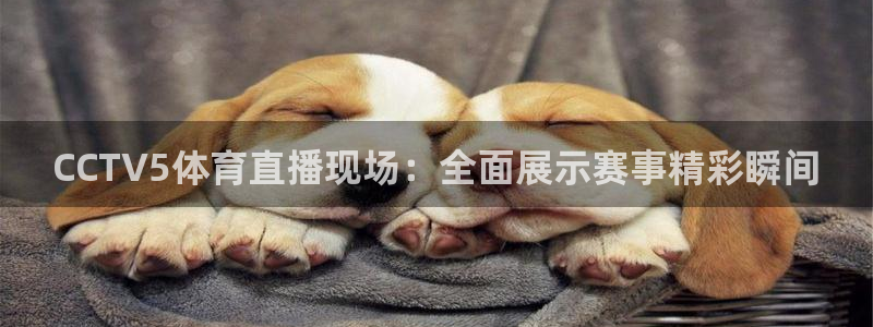 CCTV5体育直播现场：全面展示赛事精彩瞬间