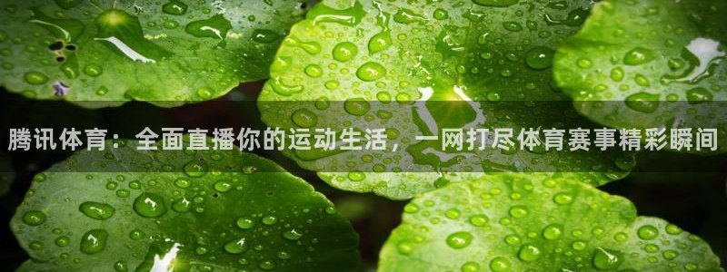 腾讯体育：全面直播你的运动生活，一网打尽体育赛事精彩瞬间
