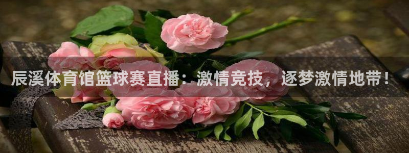 辰溪体育馆篮球赛直播：激情竞技，逐梦激情地带！