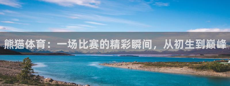 熊猫体育：一场比赛的精彩瞬间，从初生到巅峰
