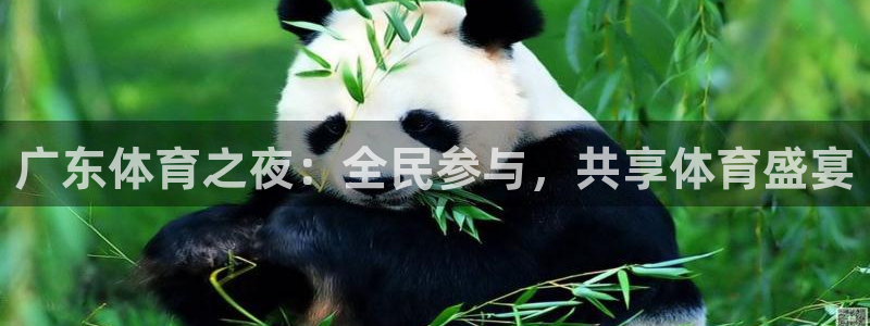 广东体育之夜：全民参与，共享体育盛宴