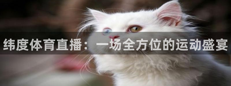 纬度体育直播：一场全方位的运动盛宴