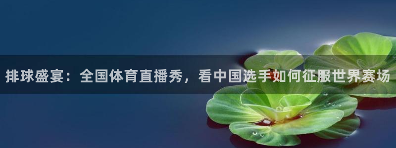 排球盛宴：全国体育直播秀，看中国选手如何征服世界赛场