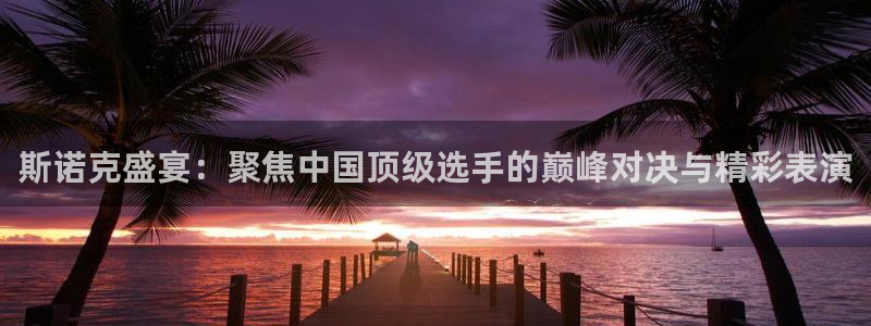 斯诺克盛宴：聚焦中国顶级选手的巅峰对决与精彩表演